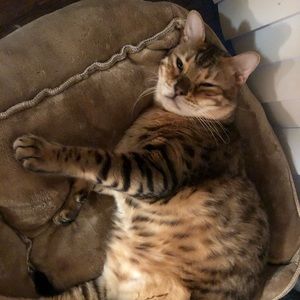 Meet your Posher, Crystal